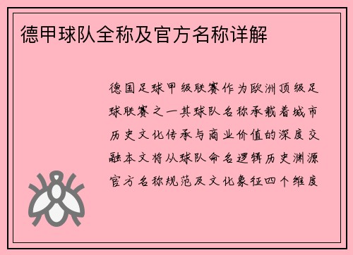 德甲球队全称及官方名称详解