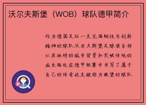 沃尔夫斯堡（WOB）球队德甲简介